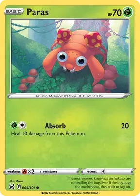 Paras #4