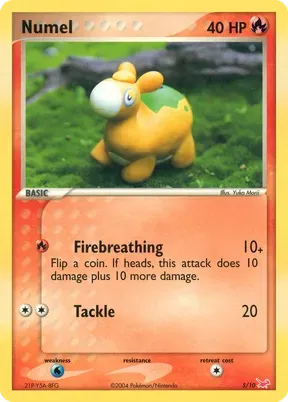 Numel #5
