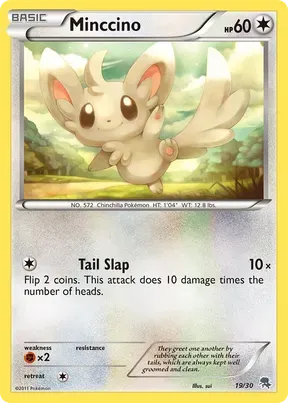 Minccino #19