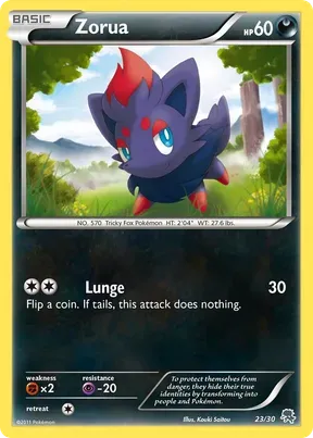Zorua #23