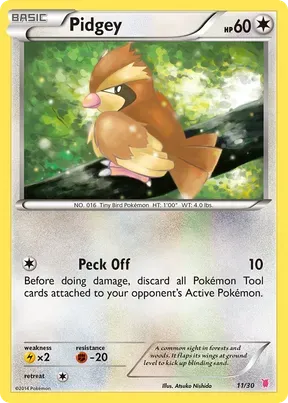 Pidgey #11
