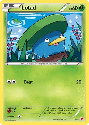 Lotad #11