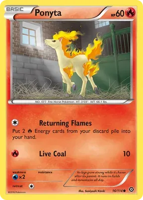 Ponyta #16