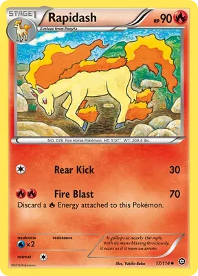 Rapidash #17