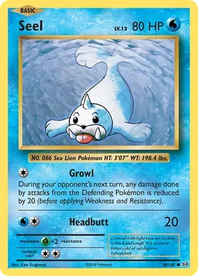 Seel #28