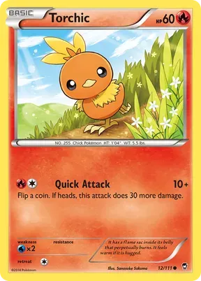 Torchic #12