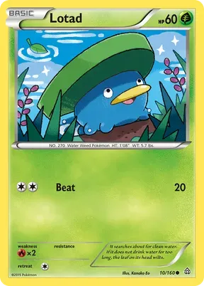 Lotad #10