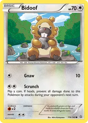 Bidoof #116