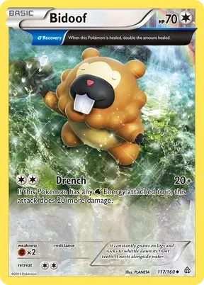 Bidoof #117