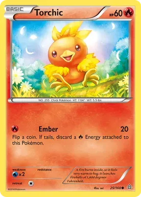 Torchic #25