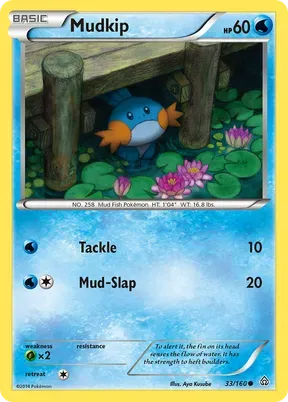 Mudkip #33