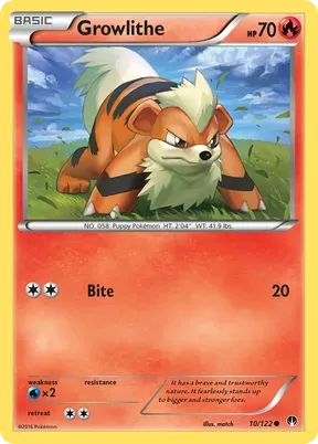 Growlithe #10