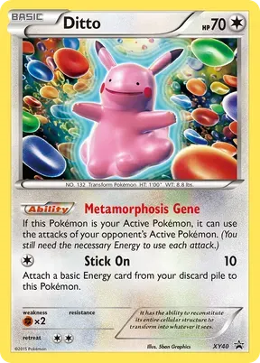 Ditto #XY40