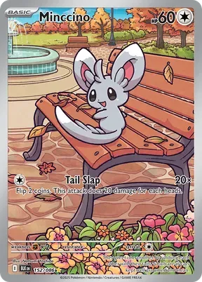 Minccino #152