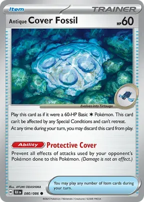 Antique Cover Fossil #60