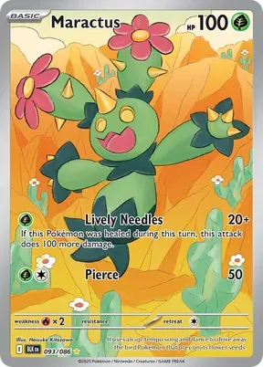 Maractus #93