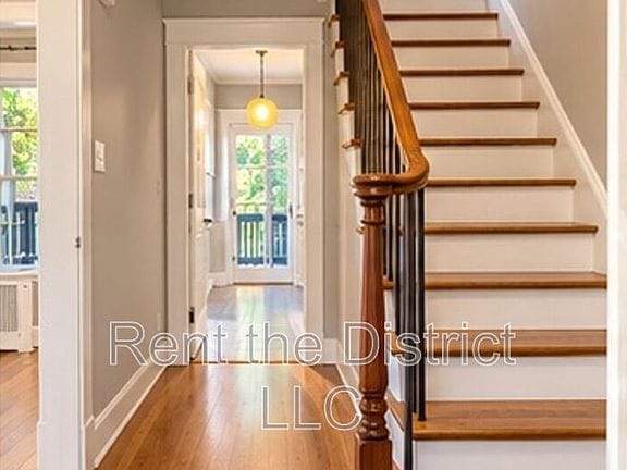 3-bedroom apartment in Petworth 4