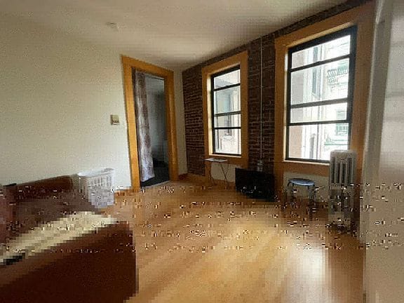 2-bedroom apartment in Williamsburg 2
