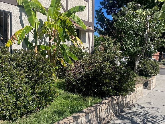 1-bedroom apartment in North Hollywood 2