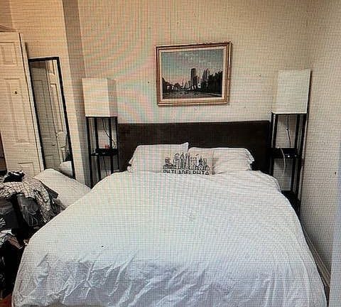 1-bedroom apartment in Spring Garden 8