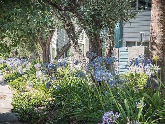 1-bedroom apartment in Lake Balboa 9