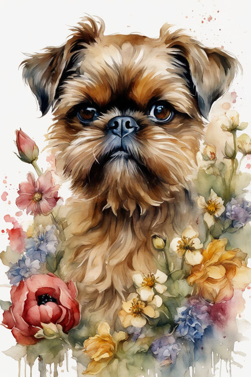 Verdell the Brussels Griffon