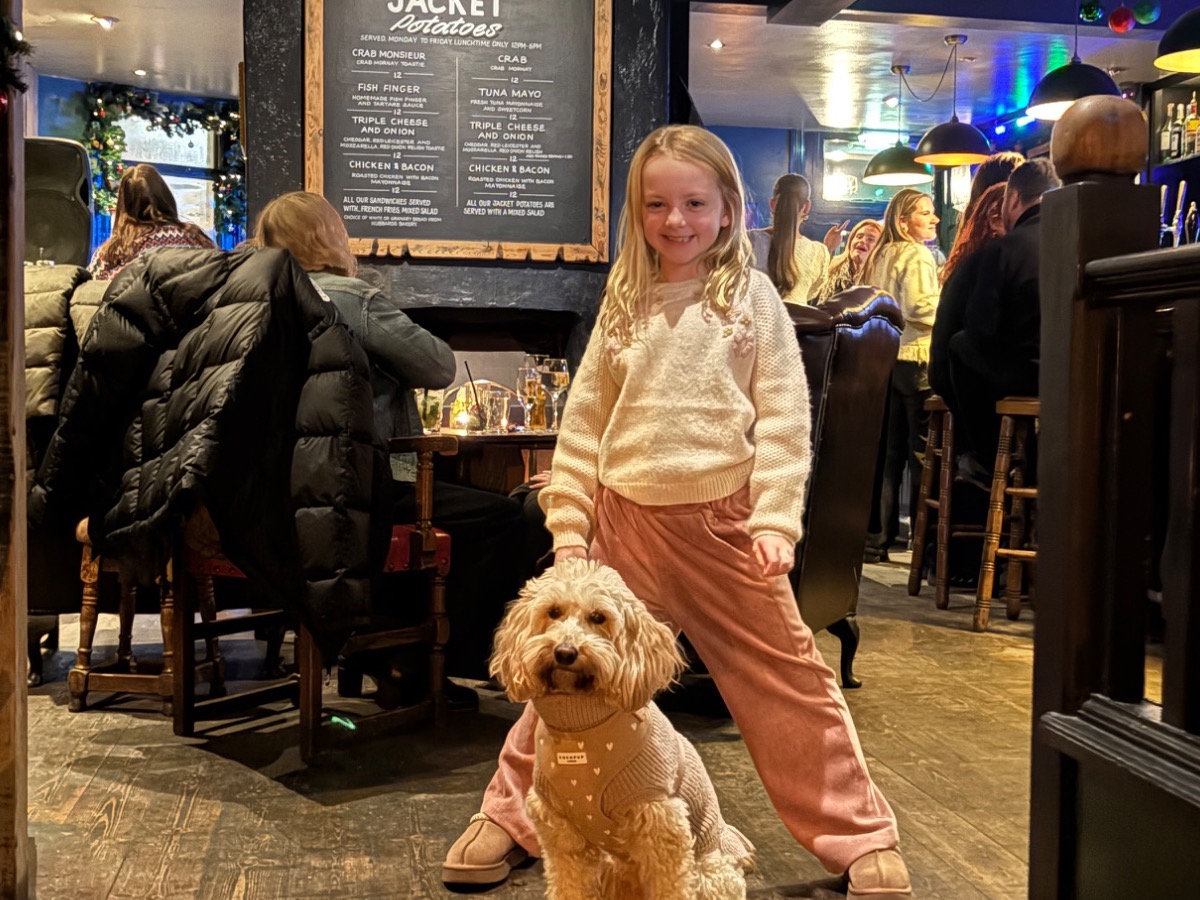 Australian Labrodoodle 4 years 10 months old female small named Arlo for breeding in Whitstable, England | Petmeetly