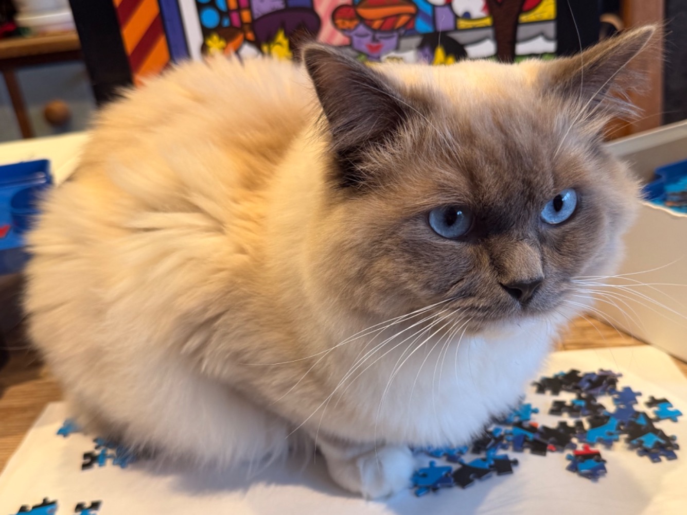 Milo