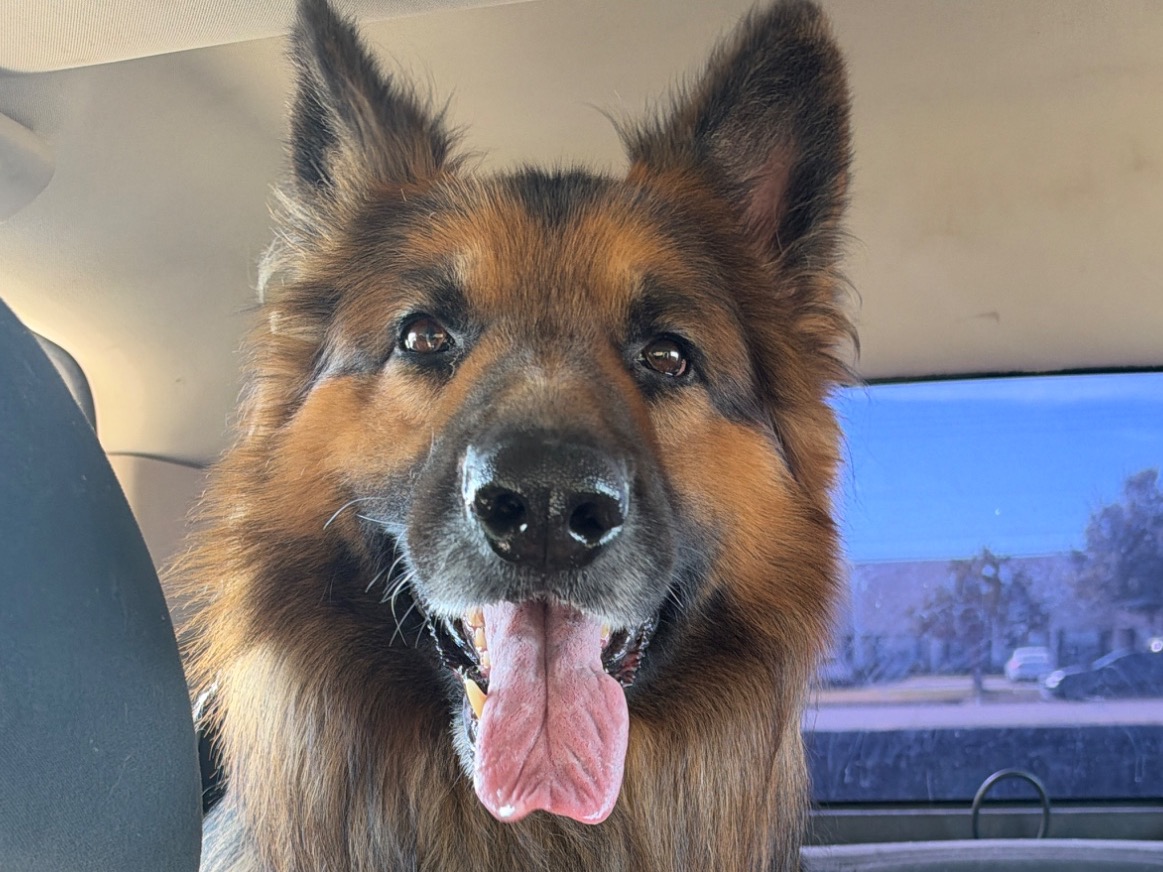 Apollo