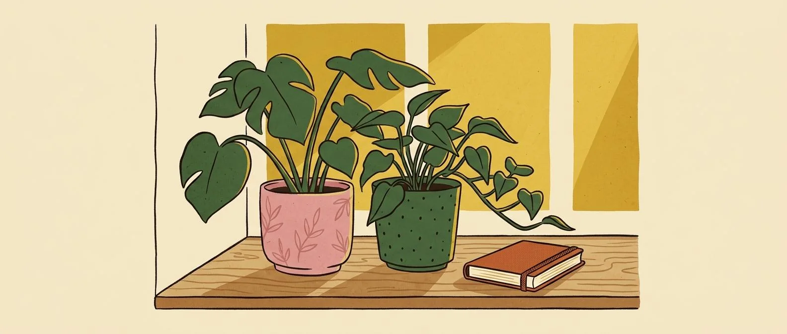 Two different plants growing together toward sunlight on a shared windowsill.