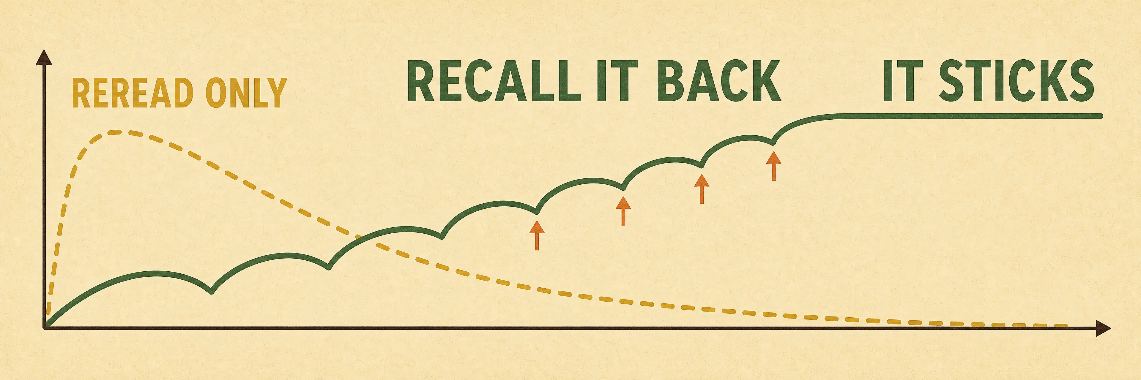 Line chart comparing two study methods. A mustard dashed line labeled Reread Only rises briefly then falls in one long smooth slope toward the bottom. A forest-green solid line labeled Recall It Back dips repeatedly but is caught each time by a small orange upward arrow marking a recall attempt, climbing higher after every dip until it levels into a high flat plateau labeled It Sticks.