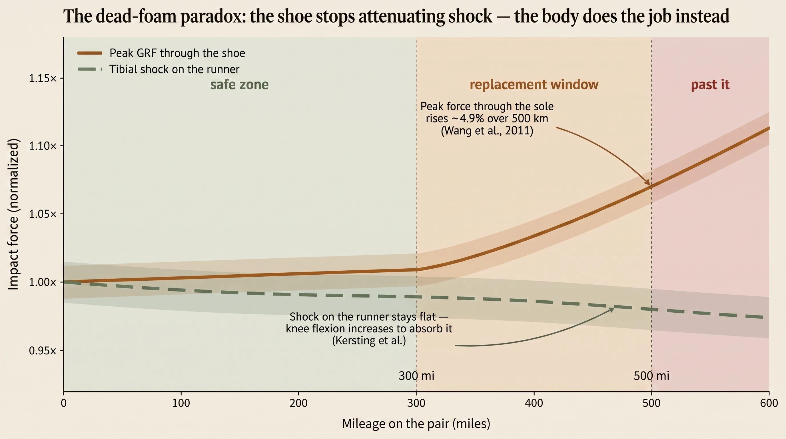Two curves plotted against shoe mileage from 0 to 600 miles. The ochre curve (peak ground reaction force through the shoe) stays nearly flat from 0 to 300 miles, then rises roughly 5% across the 300–500 mile replacement window, climbing further past 500. The sage dashed curve (tibial shock measured on the runner) stays essentially flat — the body compensates for the failing foam by increasing knee flexion, transferring load to biological tissues. The chart is shaded in three zones: sage safe zone 0–300 mi, ochre replacement window 300–500 mi, and muted red past-it zone 500+ mi.