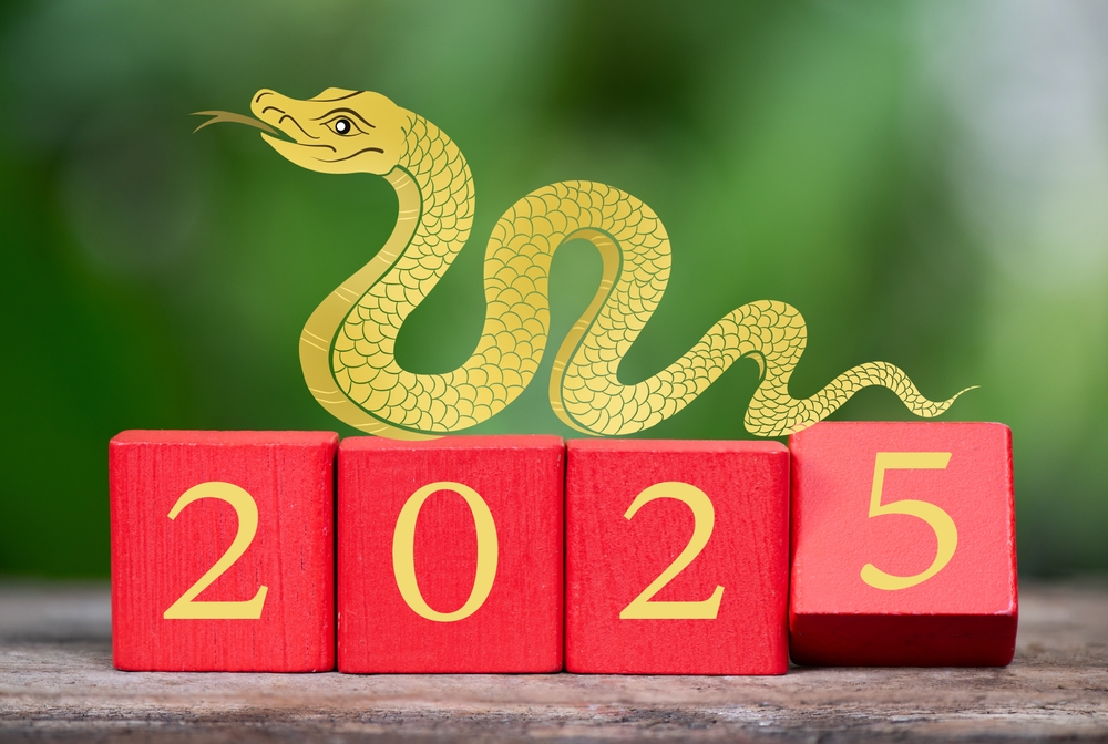 Ramalan Keuangan Shio di Tahun Ular Kayu 2025, Siapa Kekayaannya akan Melimpah?