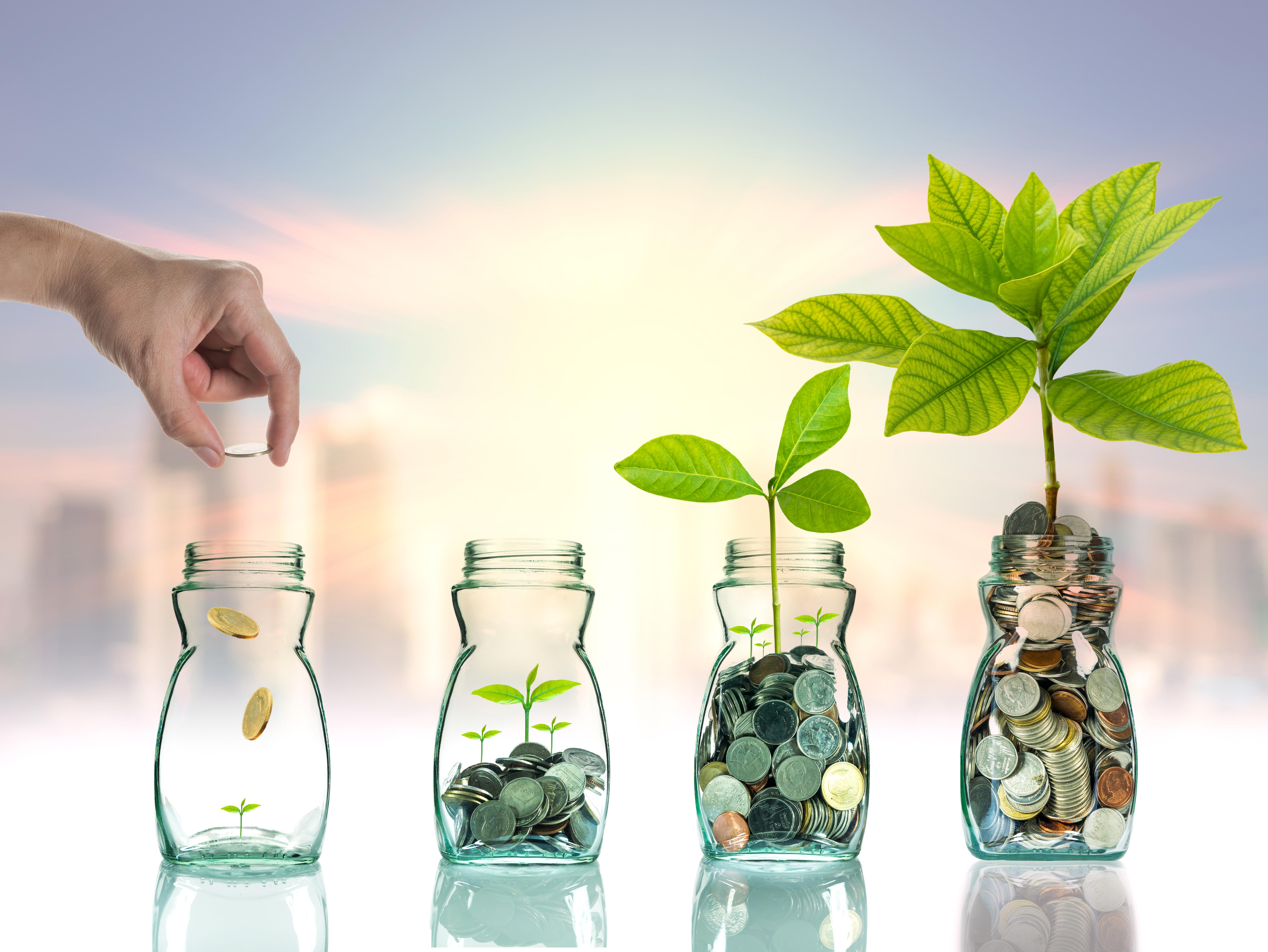 Pasar Dinamis, Avrist Emerald Stable Fund Kasih Return 8,32% Setahun