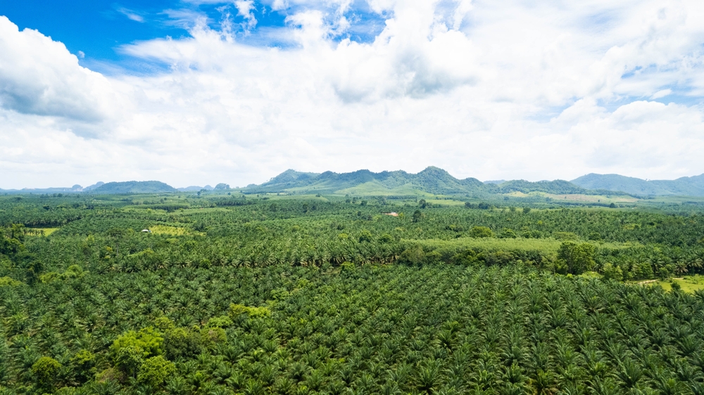 Triputra Agro Persada (TAPG) Catat Pertumbuhan Laba 25,8% di Kuartal-I 2024