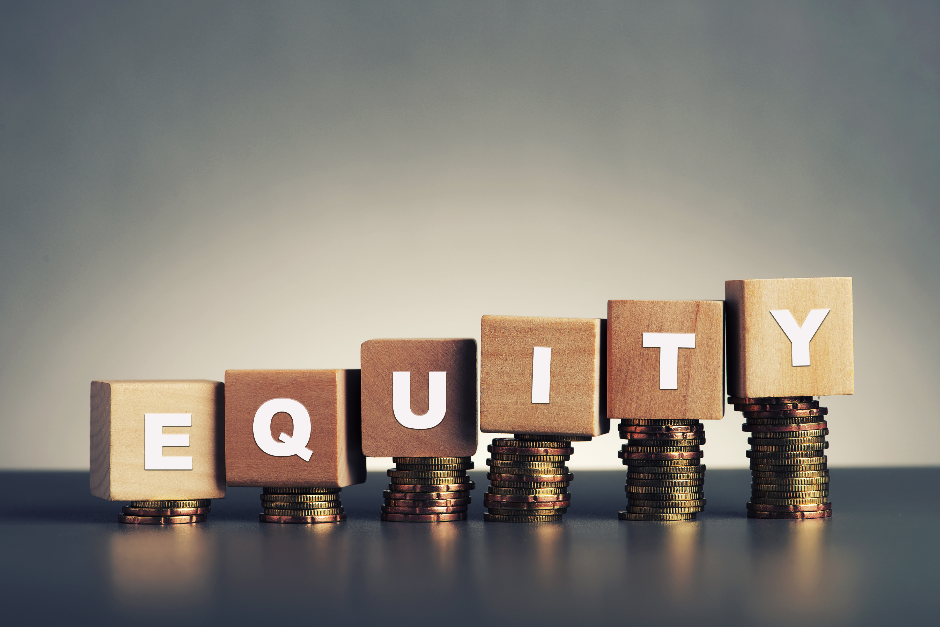 Equity компания. Профит. Маржинальность картинка. Профит картинка. Деньги.