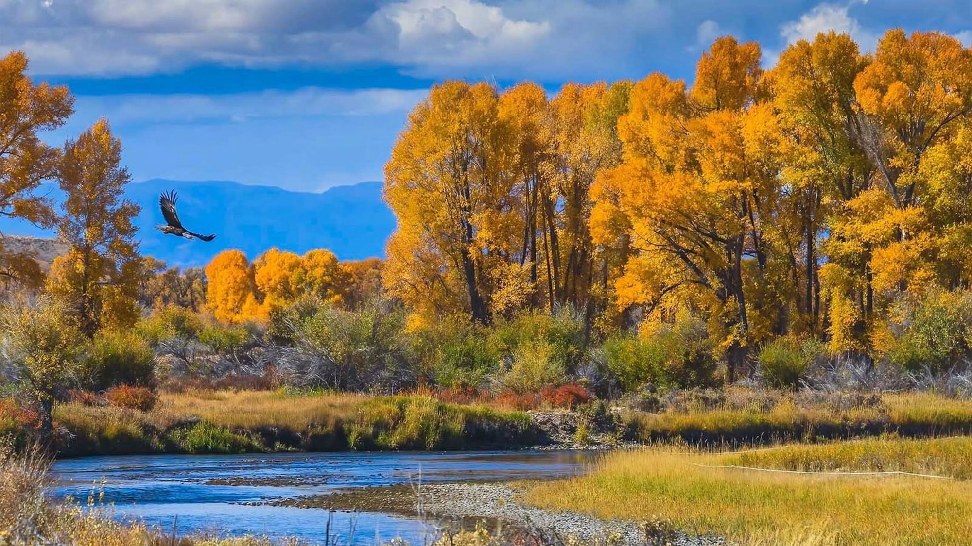 Wyoming in Fall: Where the Mountains Turn Gold