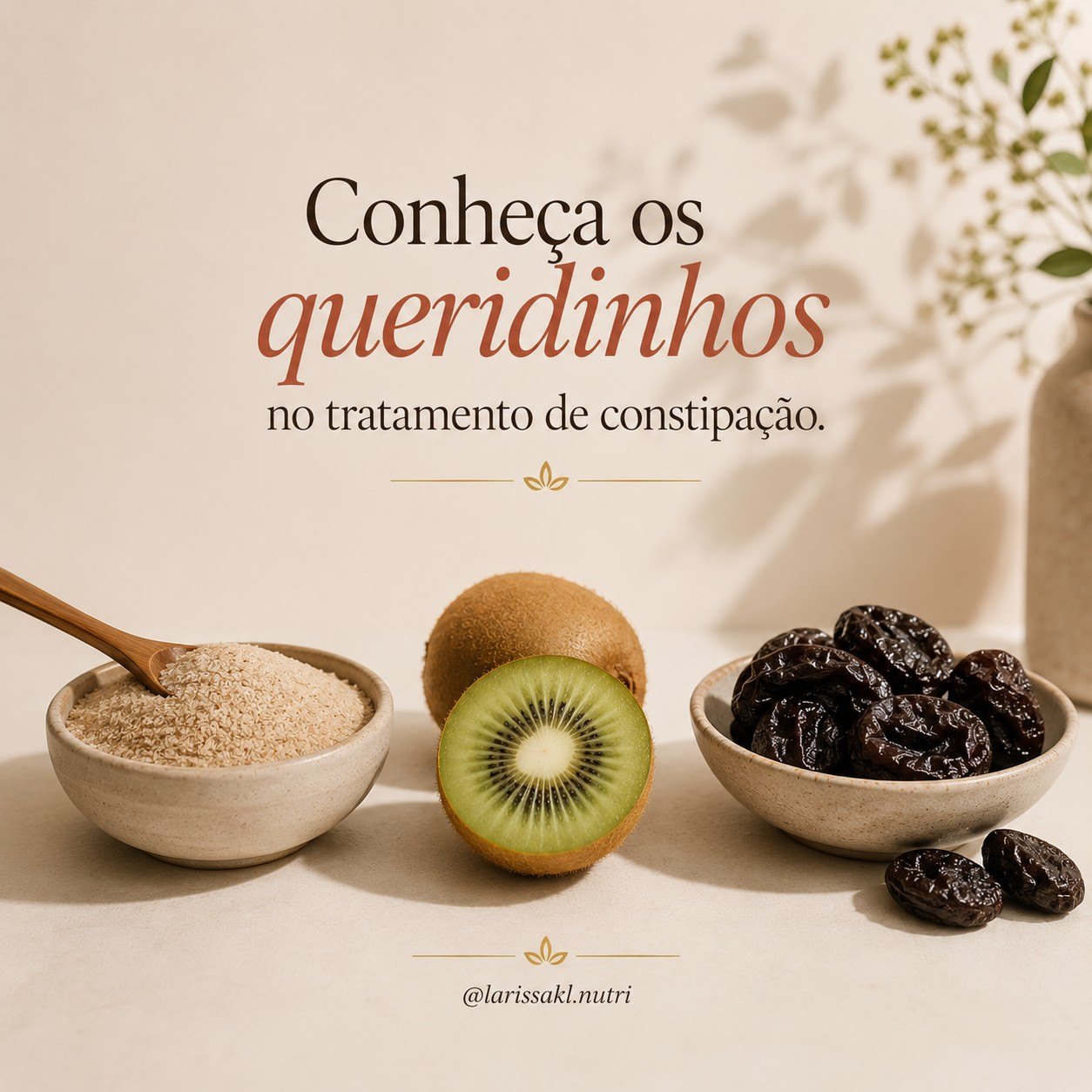 post imagem