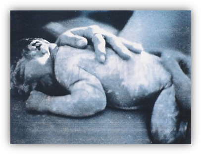 Uma imagem contendo cachorro, deitado, edifício, jogando

Descrição gerada automaticamente