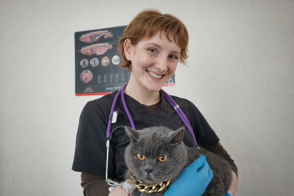 Голубицька Дар'я Павлівна