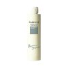 ARIMINO_Care_Due_Spa_Shampoo_200m#Balancing–base