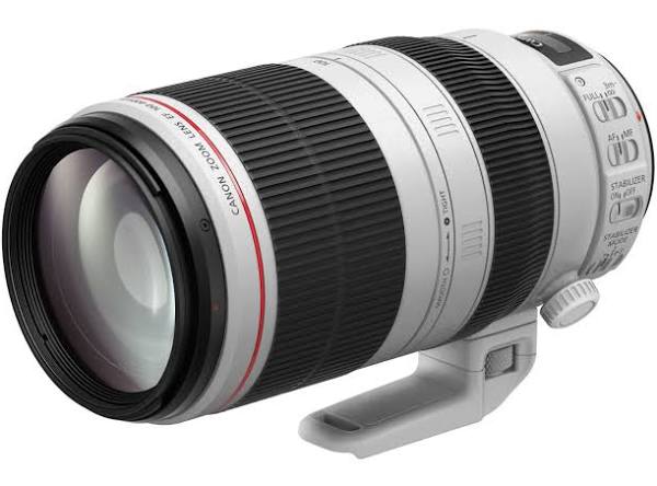 Canon EF 100-400mm f/4.5-5.6 L IS USM II 