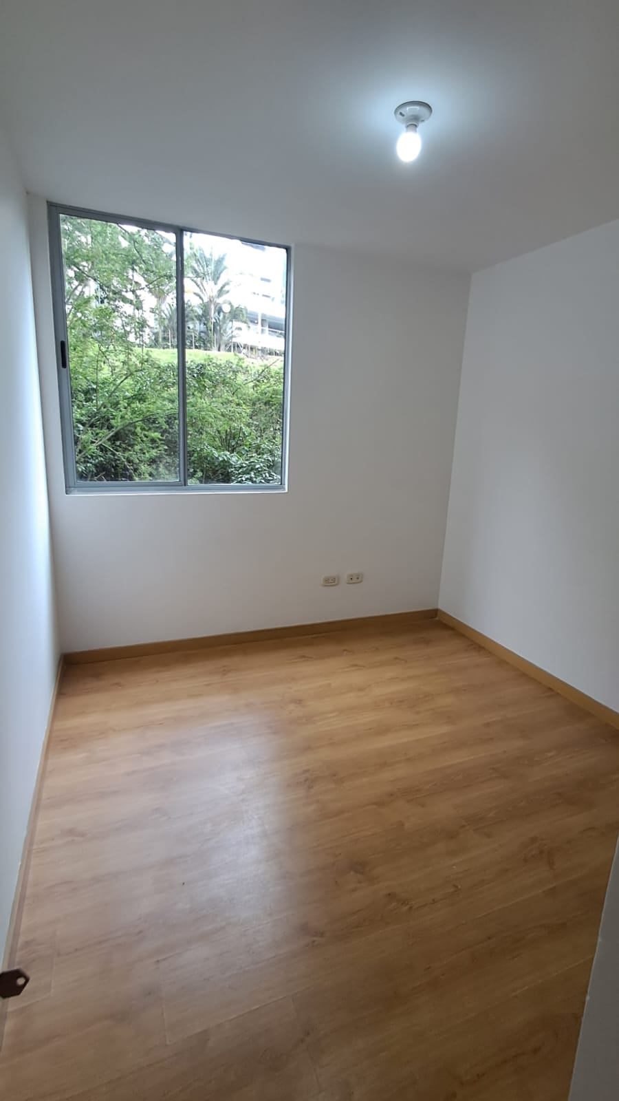 Imagen de Apartamento 11