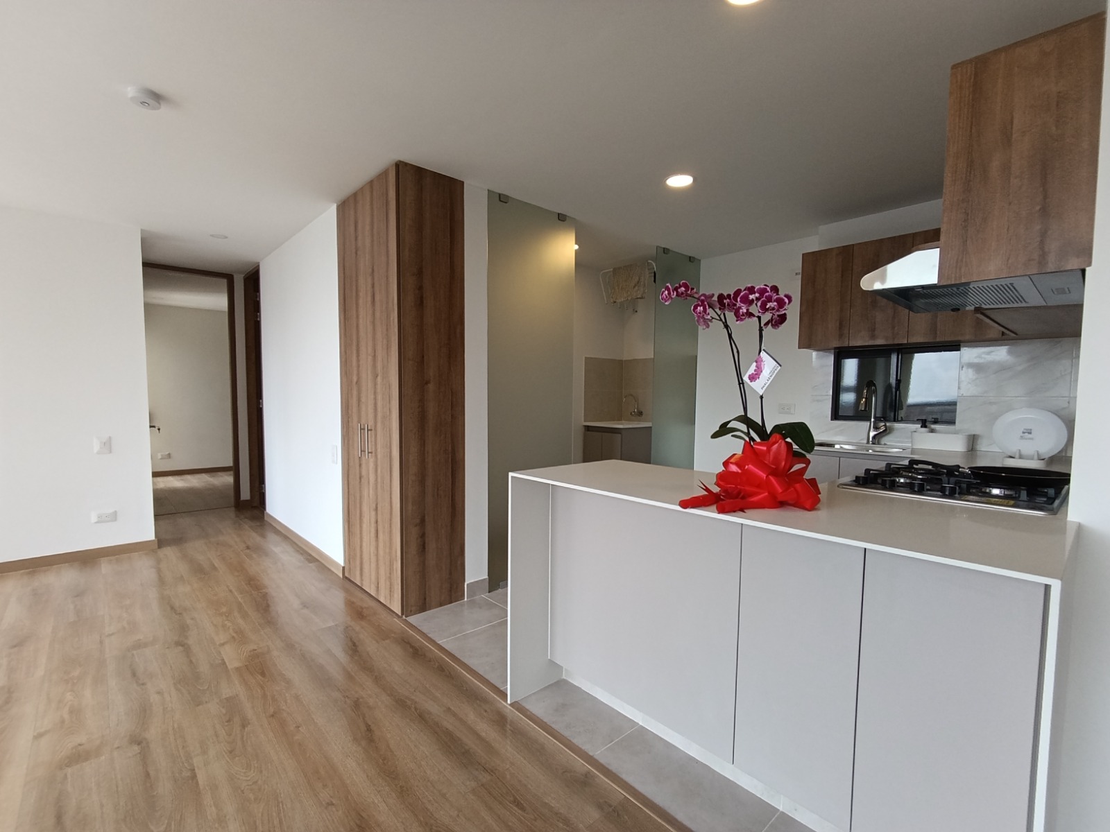 Imagen de Apartamento 5