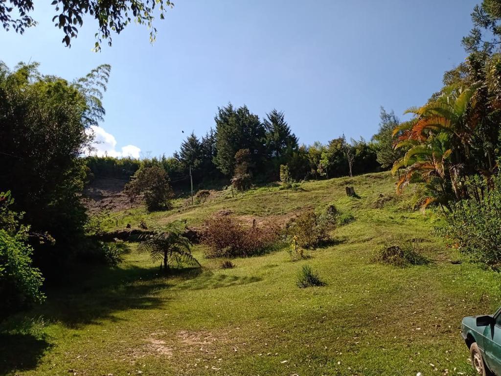 Imagen de Finca en Antioquia, RIONEGRO, RIONEGRO Imagen de Finca en Antioquia, RIONEGRO, RIONEGRO