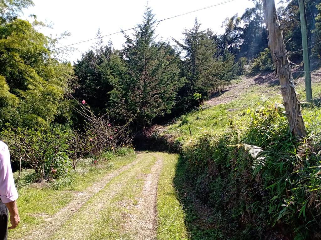 Imagen de Finca en Antioquia, RIONEGRO, RIONEGRO Imagen de Finca en Antioquia, RIONEGRO, RIONEGRO