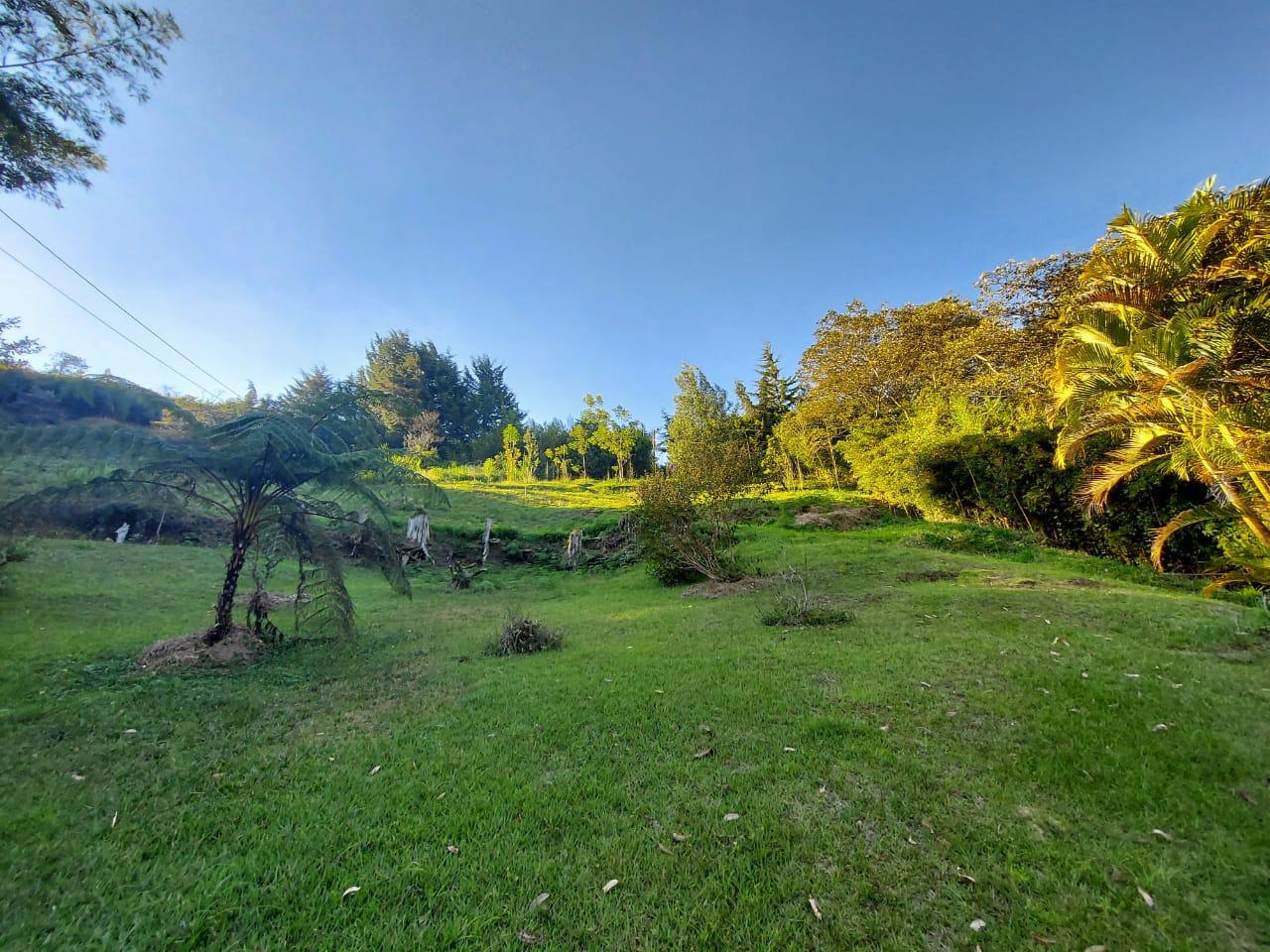 Imagen de Finca 5