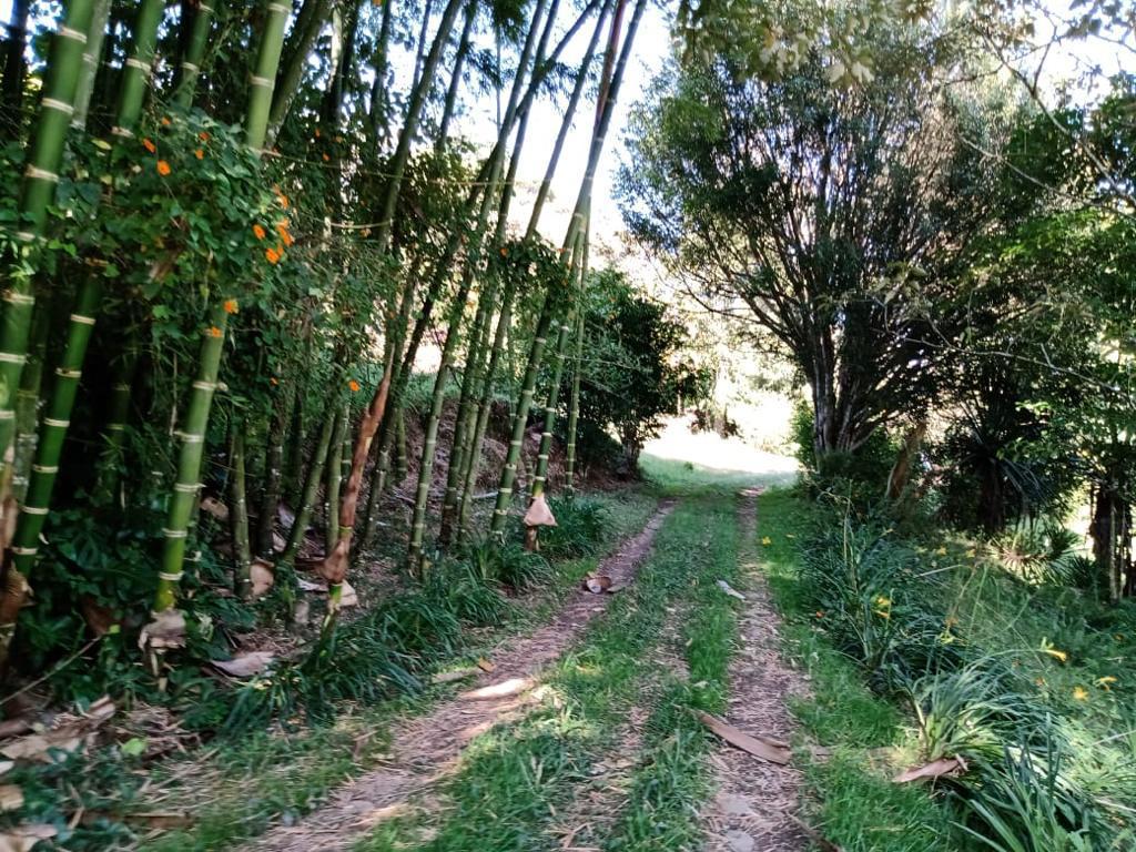 Imagen de Finca