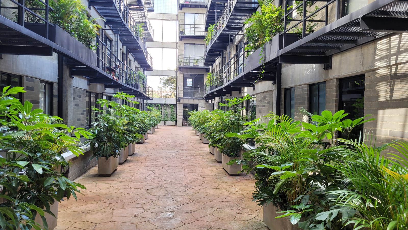 Imagen de apartamento 3
