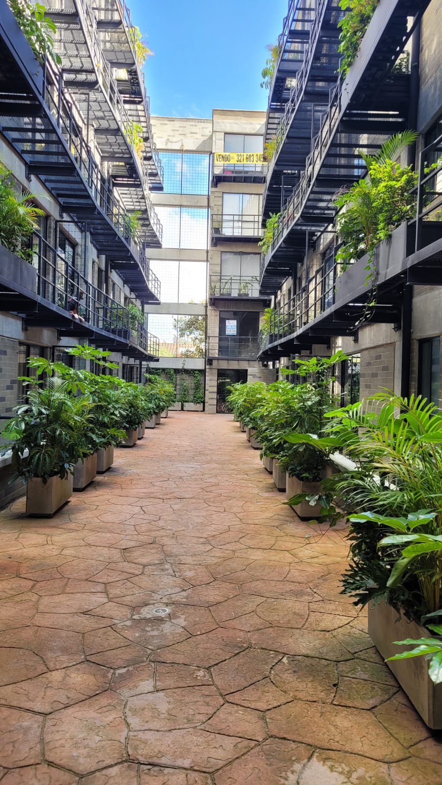 Imagen de Apartamento 5